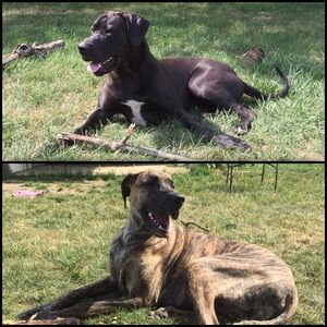 Meet your Posher, Joelle