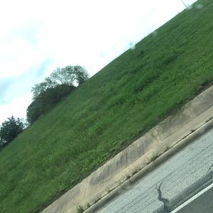 Meet your Posher, Iris