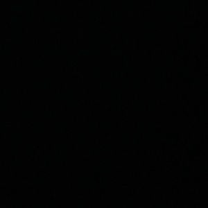 Meet your Posher, Lia