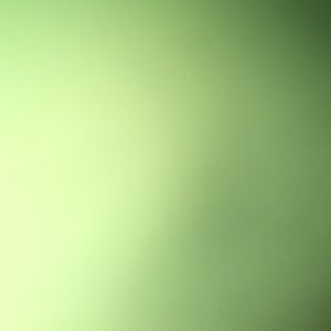 Meet your Posher, Lauryn