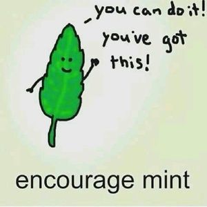 Meet your Posher, Brandy