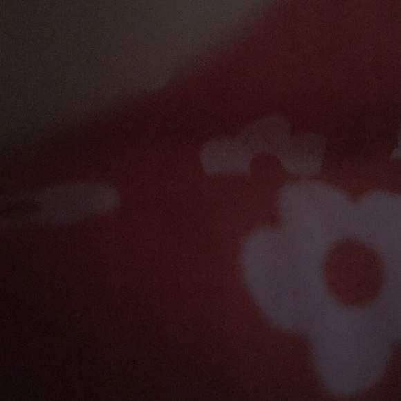 Meet your Posher, Curtis - Picture 1 of 1