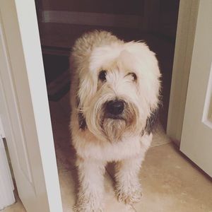 Meet your Posher, Candy