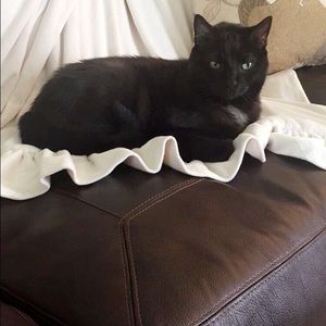 Meet your Posher, Janie