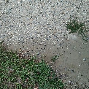 Meet your Posher, Pam