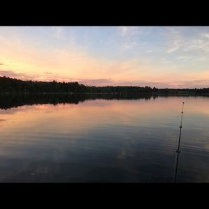 Meet your Posher, Izzy