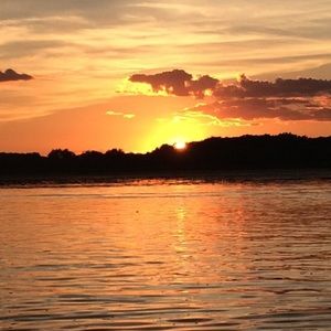 Meet your Posher, Bailey