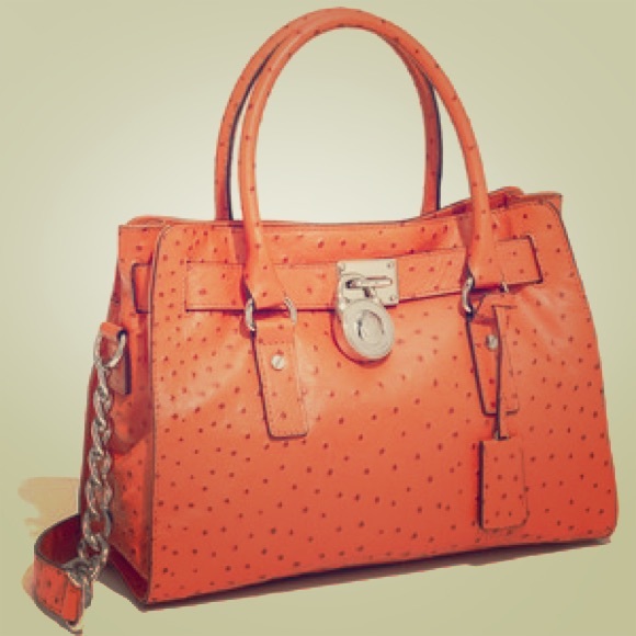 Michael Kors Handbag! Great for the Fall season.