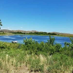 Meet your Posher, Sally