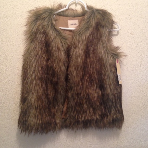 Fur Vest