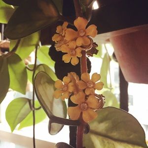 Vintage yellow flower clip on earrings hair clips