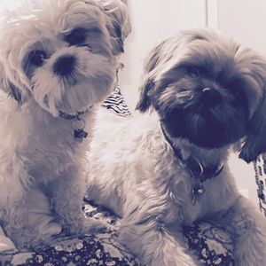 Meet your Posher, Summer