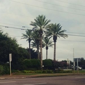 Meet your Posher, Mariah