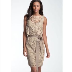 Todashi Shoji Champagne Lace Dress 14