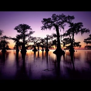 Meet your Posher, Reign