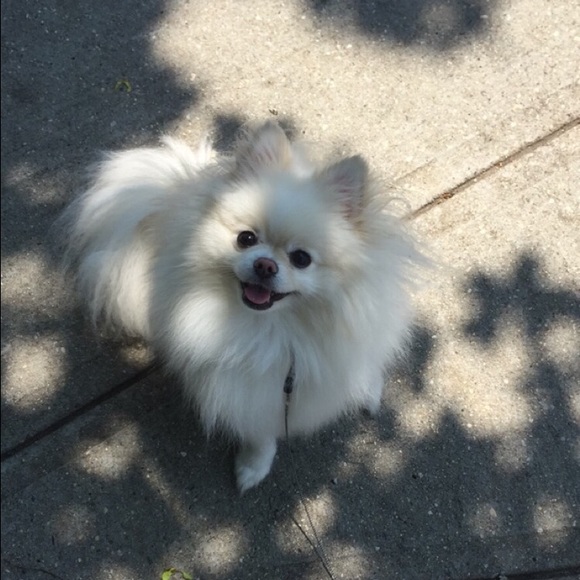 💗Hello!💗🙋🏻 - Picture 2 of 3