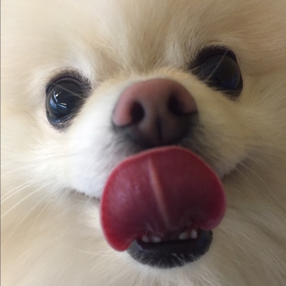 💗Hello!💗🙋🏻 - Picture 3 of 3