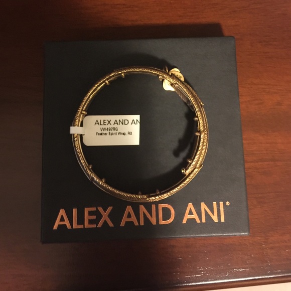 Alex and Ani bracelet - Picture 1 of 3