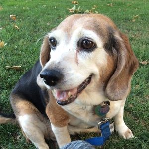 Meet your Posher, Trina