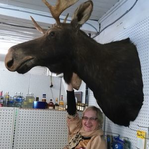 Meet your Posher, Pamela