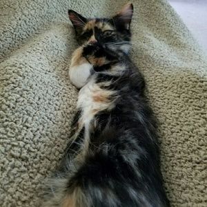 Meet your Posher, Gina