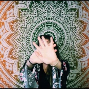 Meet your Posher, Leia