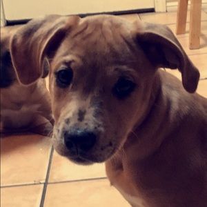 Meet your Posher, Issac