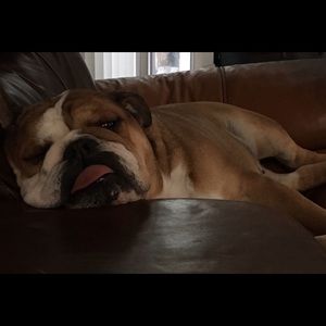 Meet your Posher, Tammy