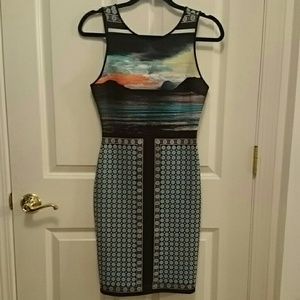 Clover Canyon neoprene sunset dress