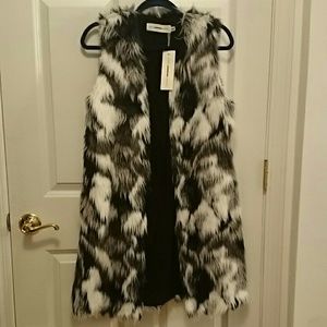 Eternal Sunshine Edee Faux Fur Vest