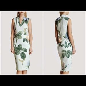 Ted Baker Dragonfly Dress Size 3 Floral NWOT