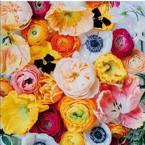 Meet your Posher, Em