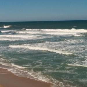 Meet your Posher, Karen schweigert