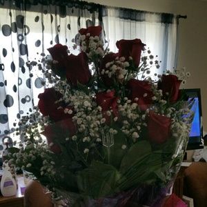 Meet your Posher, Tequesta