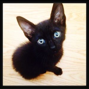 Meet your Posher, Michelle