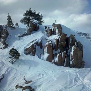 Meet your Posher, Brad