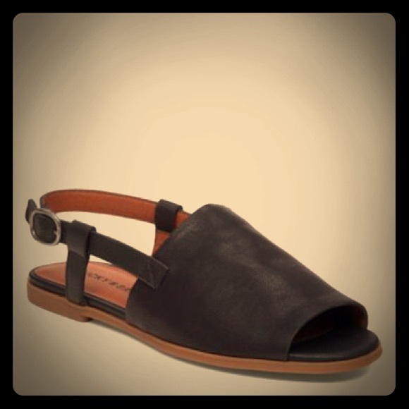 Lucky Brand Shoes - 🆕Lucky Brand CAMPBELL FLAT🆕