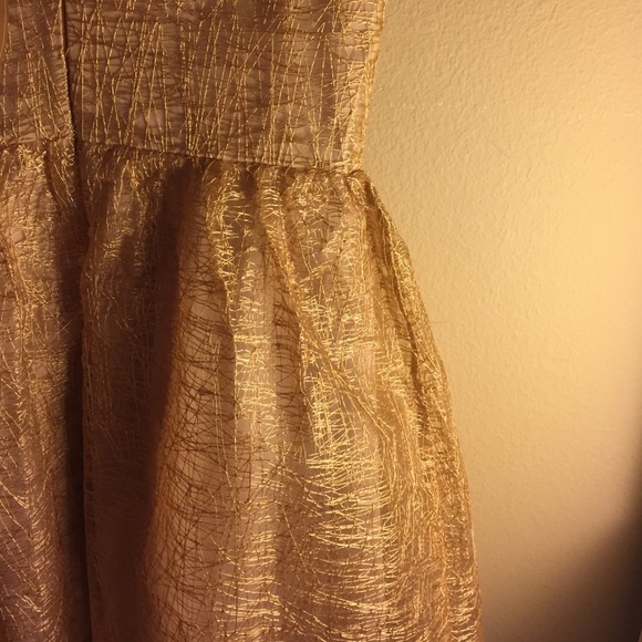 Francesca's Holiday Gold Dress - Picture 4 of 4