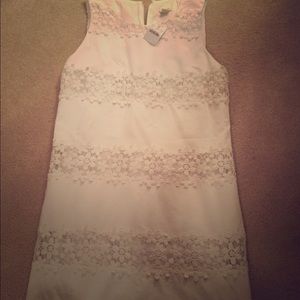 Jcrew white lace dress! NWT