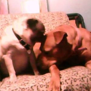 Meet your Posher, Kerri