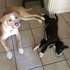 Meet your Posher, Jamie