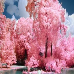 Meet your Posher, Esther