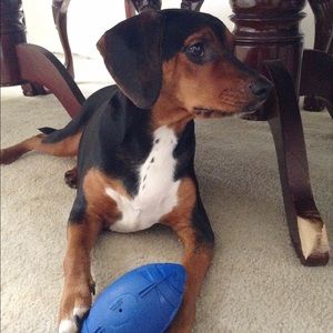 Meet your Posher, Karen