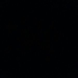 Meet your Posher, Jaques