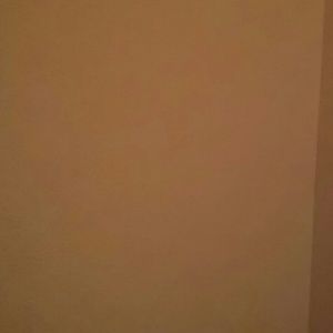 Meet your Posher, Daisydestiny99