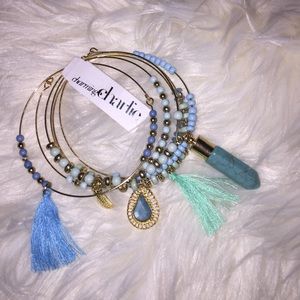 NWT tassel bracelet set of 6