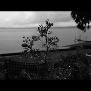 Meet your Posher, Kylin