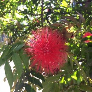 Meet your Posher, Stefani