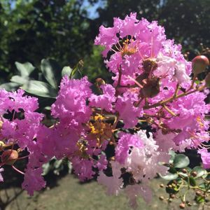 Meet your Posher, Ruby