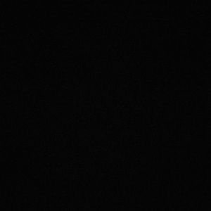 Meet your Posher, Shaunae